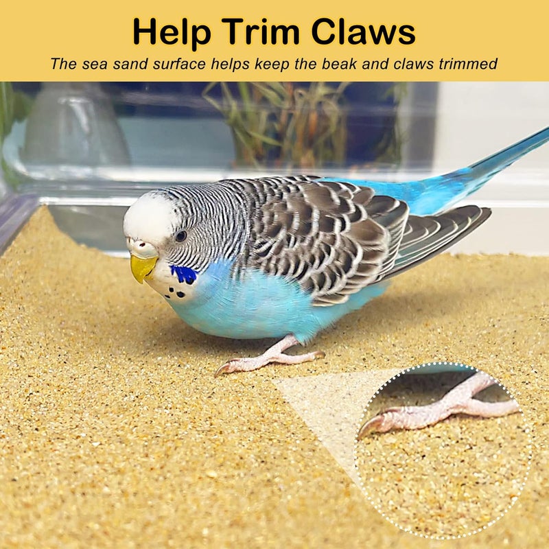 SX Gravel Paper for Bird Cage 12-Pack 16” x 10” Gravel Liner Paper Sand Sheets Bird Cage Liners - Image 3